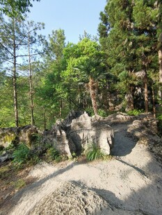 山石