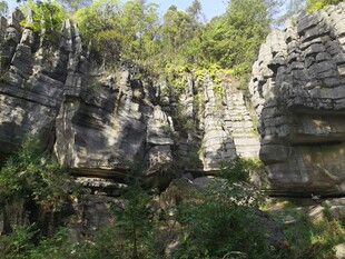 山间石林
