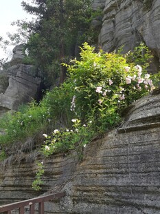 山间峭壁
