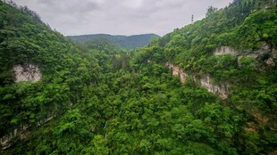 山顶