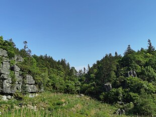 山林