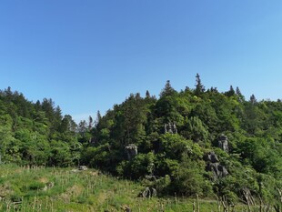 大山