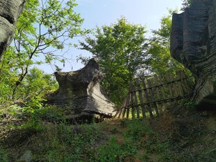 山林石景