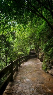 林间栈道