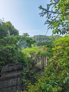 山间石林
