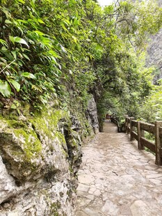 山间小路
