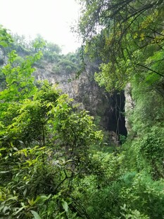 山林