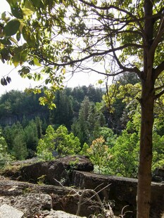 山林