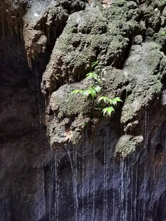 水帘