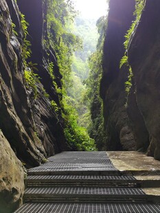 山间幽径