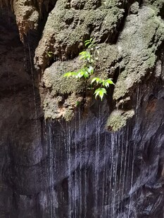 水幕