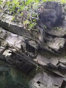 岩石