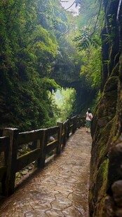 山间栈道