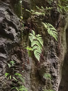 岩壁