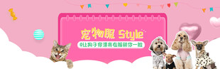 宠物摄影活动宣传海报