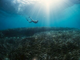 海底潜水者沐浴阳光美景