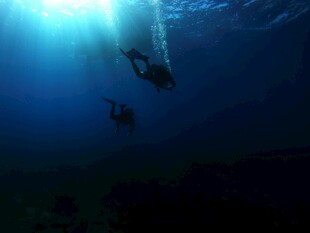 深海潜水员的奇妙水下之旅
