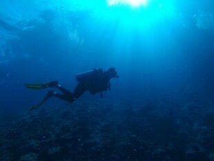 深海潜水员探索神秘海底