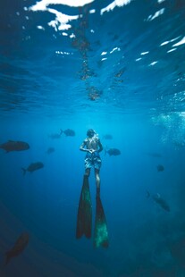 深海潜水员的奇妙水下之旅