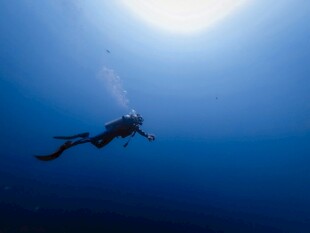 深海潜水员的梦幻遨游