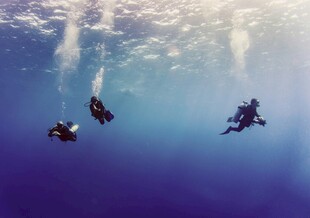 深海潜水员的奇妙之旅
