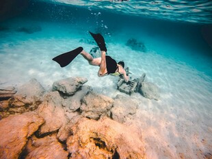 水下潜水者探索海底世界