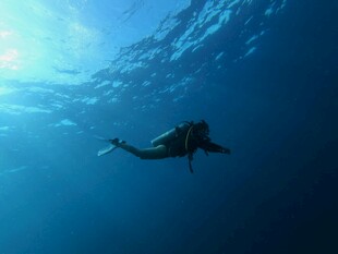 深海潜水员的悠然探索