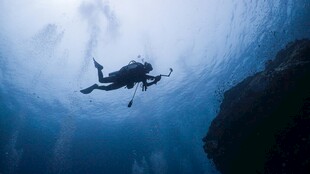 深海潜水员的奇幻水下之旅