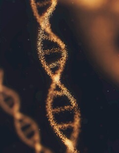 双螺旋DNA分子微观景象