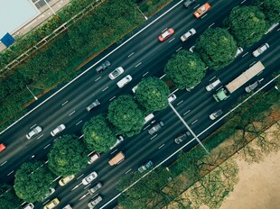 城市道路车流与绿植景观