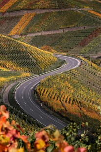 蜿蜒公路穿行多彩田园