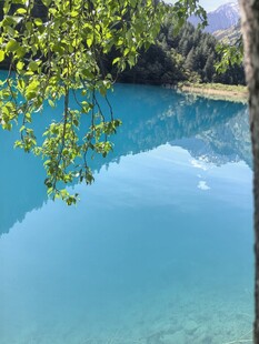 九寨沟 清澈蓝湖与岸边绿树美景