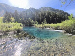 山间清澈溪流美景