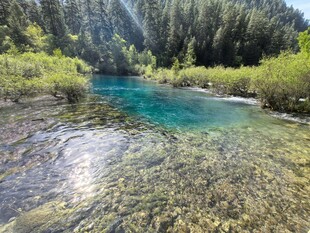 九寨沟 清澈蓝溪畔的葱郁山林