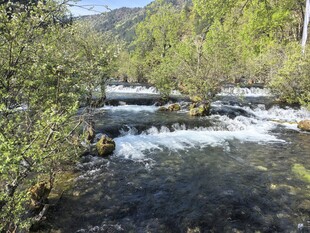 九寨沟 山间溪流潺潺绿意环绕