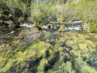 山间清澈溪流与翠绿苔藓