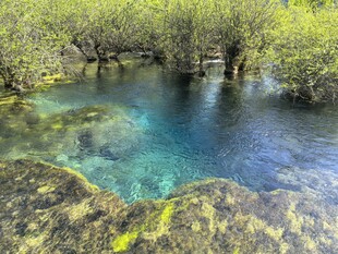 九寨沟 清澈蓝绿色水域旁的植被