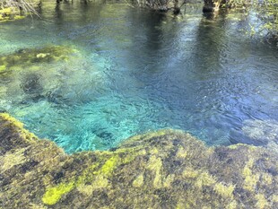 九寨沟 清澈见底的美丽水底世界