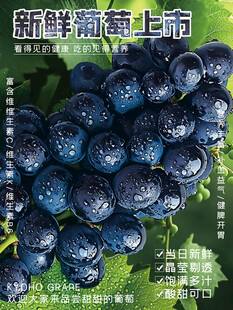 新鲜葡萄上市