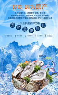 新鲜海产 开启美味海洋之旅