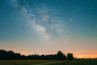 夜幕下的璀璨星空与树林