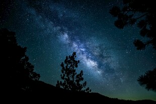 夜空下的璀璨星河与树木