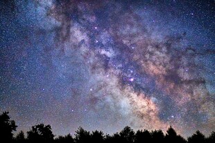 璀璨星空下的静谧森林