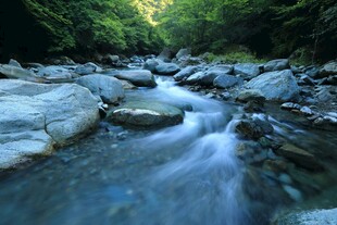 山间溪流潺潺过石间