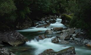 山间溪流潺潺过石景