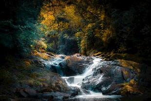 山间溪流潺潺的自然美景