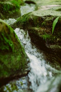 山间溪流潺潺过青苔石