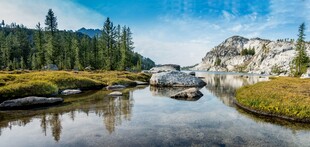 山间清澈溪流与葱郁林木