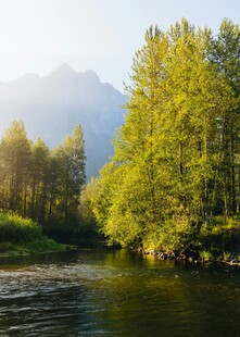 河畔绿树映远山美景