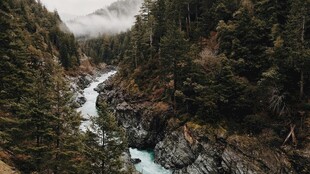 山间溪流穿林而过